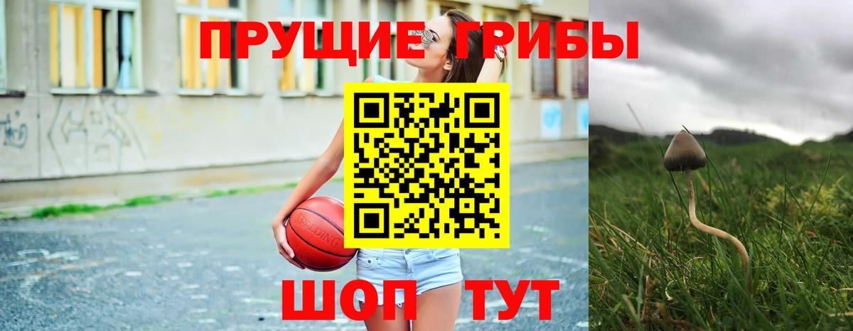 Черняховск  Галлюциногенные грибы мухоморы  Вход с VPN 